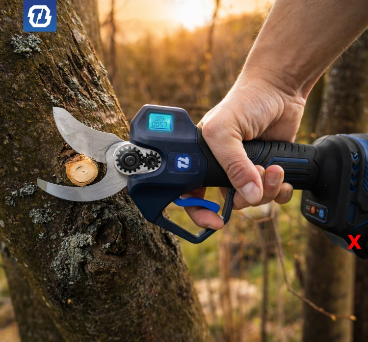 cięcie drzew owocowych akumulatorowym sekatorem, który nie męczy dłoni