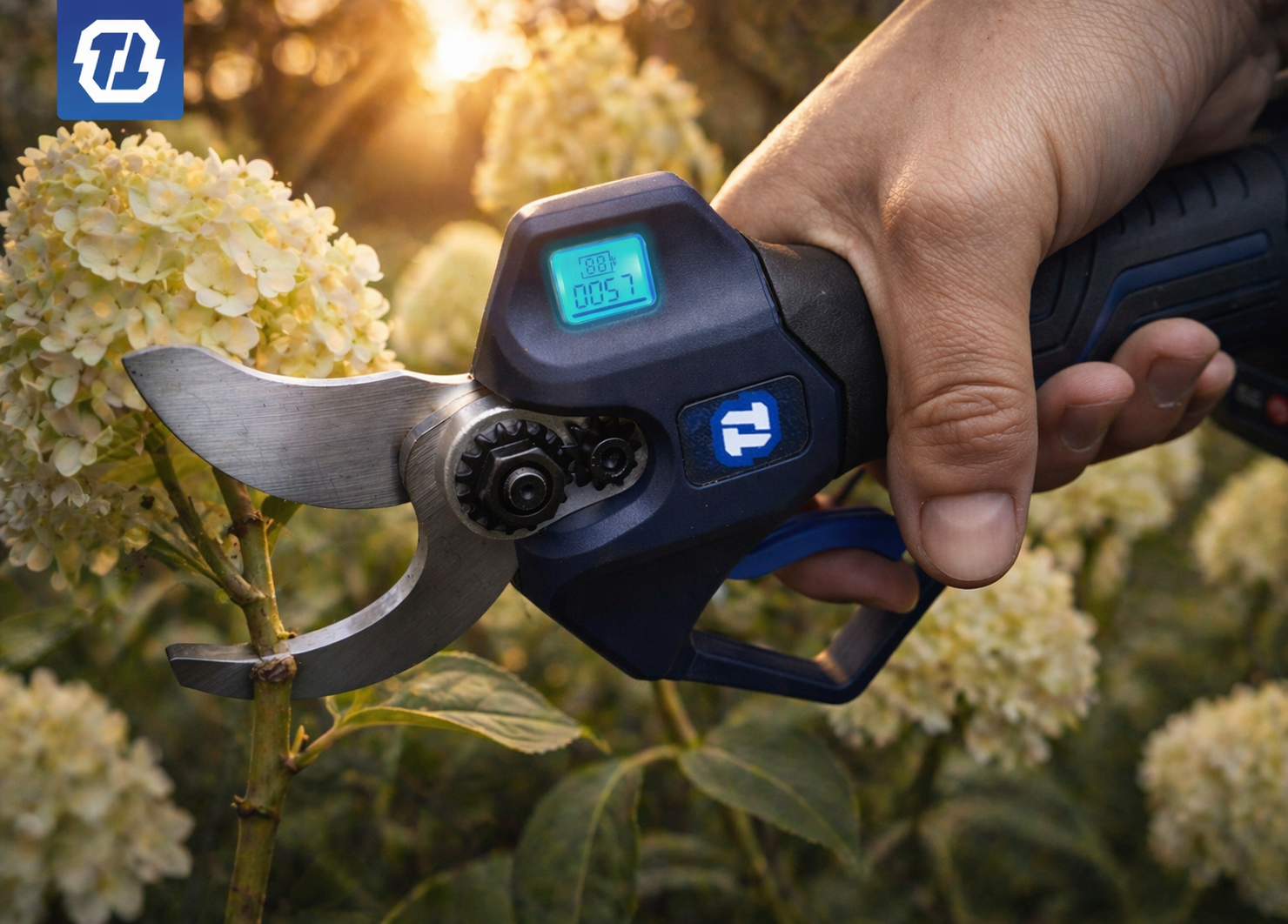 cięcie gałęzi drzewa sekatorem akumulatorowym podczas prac ogrodowych