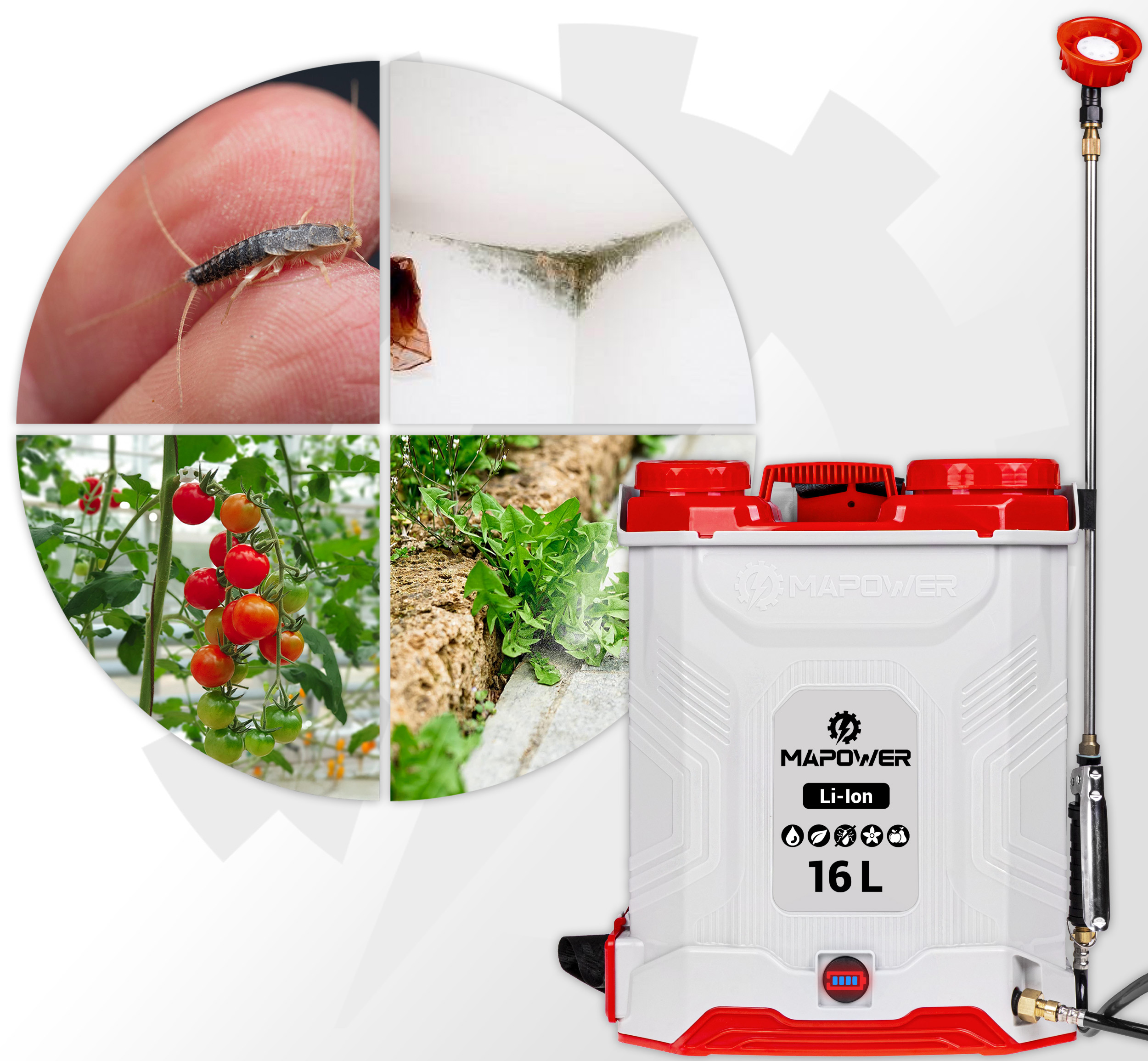 kiedy wykonać oprysk roślin