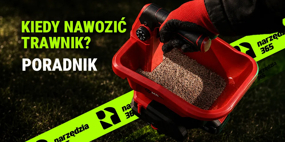 Kiedy nawozić trawnik? Terminy i błędy, których musisz unikać