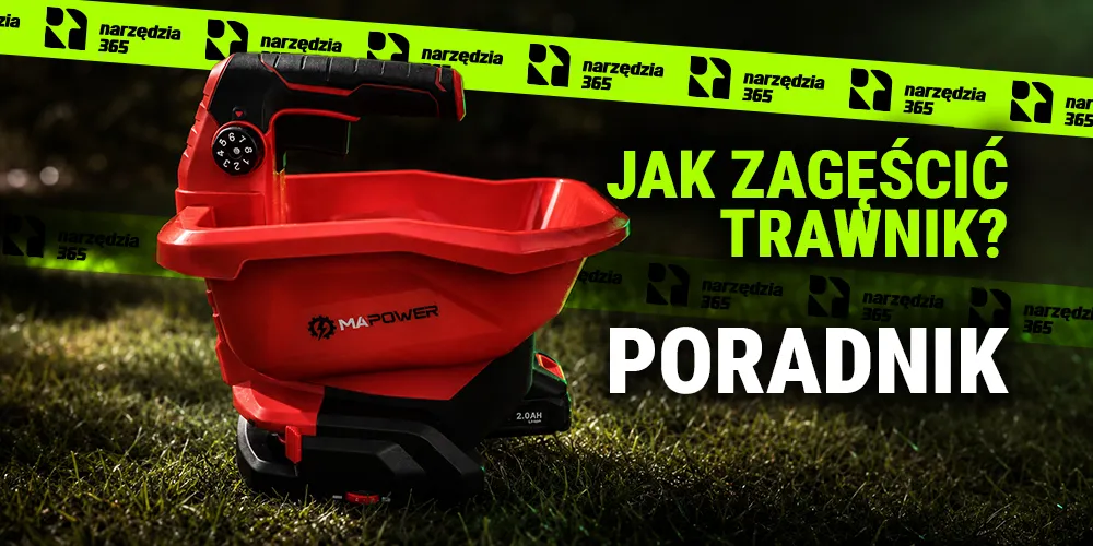 Jak zagęścić trawnik krok po kroku? Sprawdzone metody na gęstą murawę