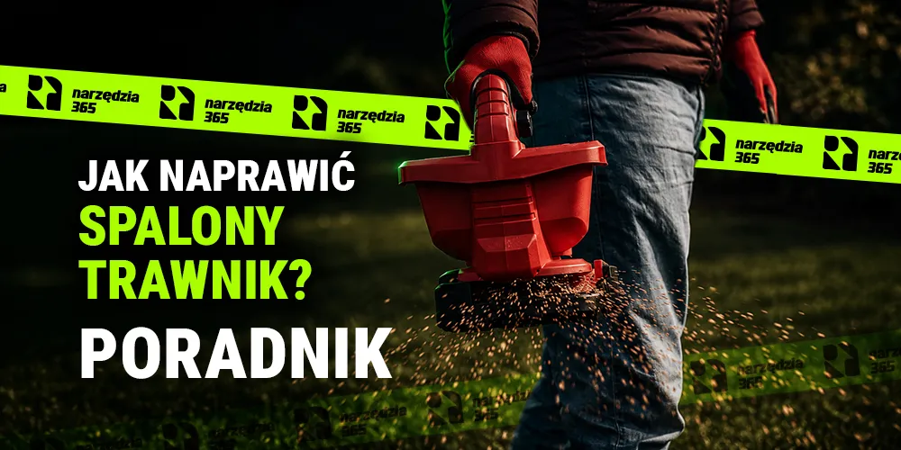 Jak naprawić spalony trawnik? Skuteczne sposoby krok po kroku